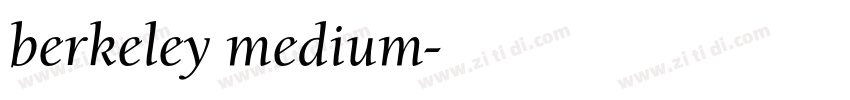 berkeley medium字体转换